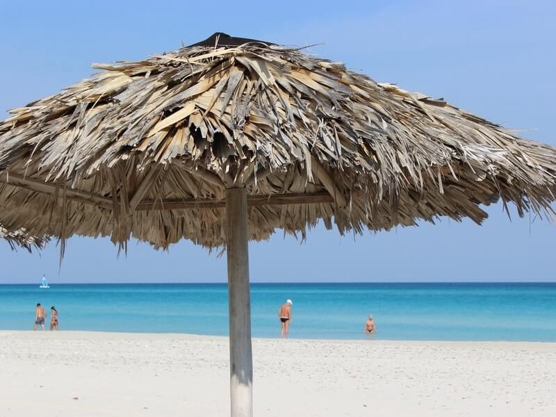 Bãi biển trong xanh và cây cối nhiệt đới đặc trưng của thiên nhiên Vanuatu.