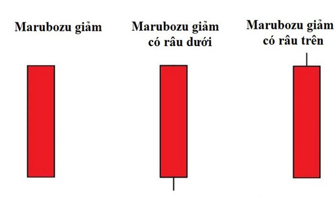 Biến thể của nến Marubozu giảm giá (Bearish Marubozu) trên thị trường