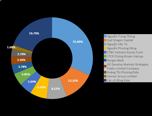 Biểu đồ phân bố cổ đông lớn của cổ phiếu HDG