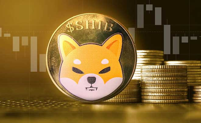 Biểu đồ tăng trưởng của Shiba Inu (SHIB), một Altcoin đáng chú ý