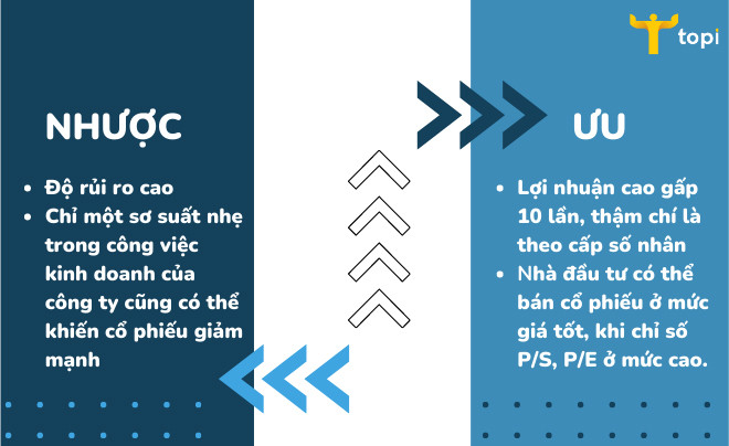 Biểu đồ thể hiện sự cân bằng giữa lợi nhuận và rủi ro của cổ phiếu tăng trưởng trên thị trường tài chính.