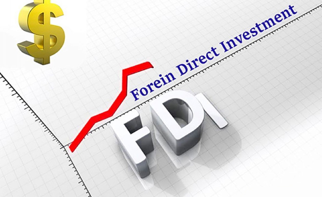Đặc điểm của doanh nghiệp FDI với nhiều hình thức góp vốn