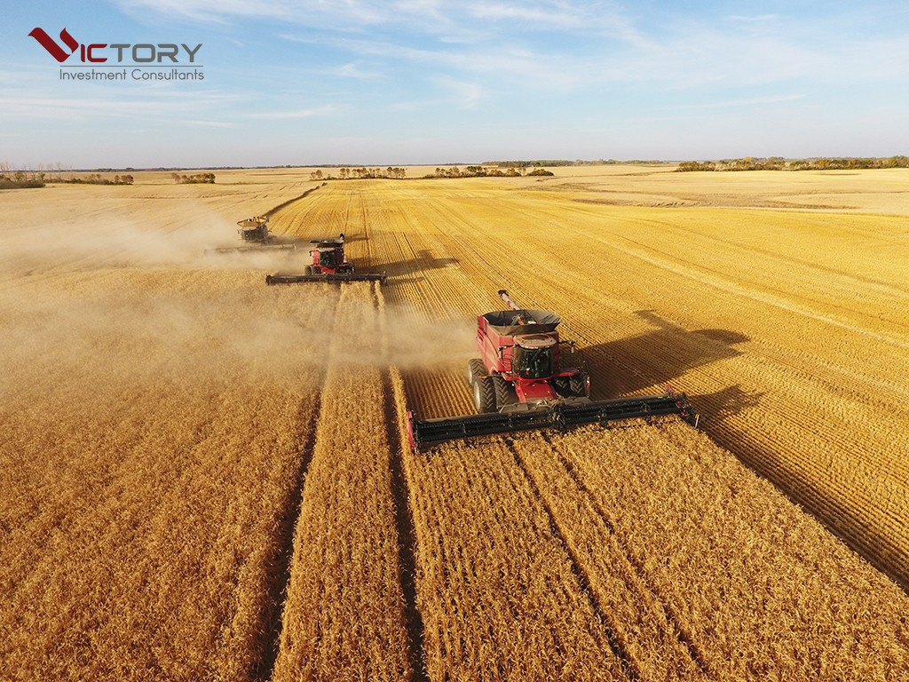 Điều kiện định cư Canada diện nông nghiệp Saskatchewan