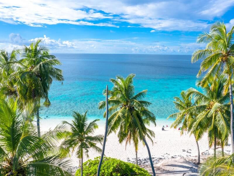 Hộ chiếu Vanuatu tượng trưng cho cơ hội đầu tư và định cư hấp dẫn.