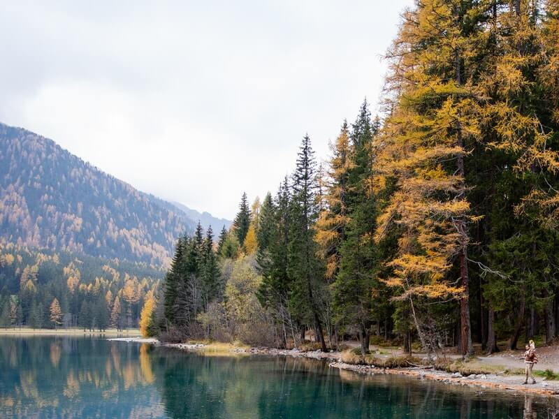 Khung cảnh đô thị hiện đại và thiên nhiên hùng vĩ tại Canada