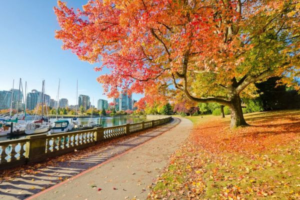 Khung cảnh thành phố Vancouver, biểu tượng cho cuộc sống chất lượng tại Canada và cơ hội phát triển cho những ai muốn định cư Canada.
