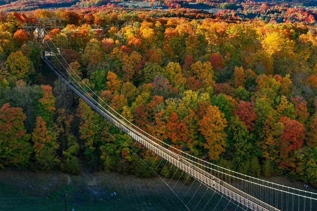 Khung cảnh thiên nhiên hùng vĩ của tiểu bang Michigan, với hồ nước và rừng cây xanh mát, thu hút người muốn định cư và tận hưởng môi trường sống trong lành