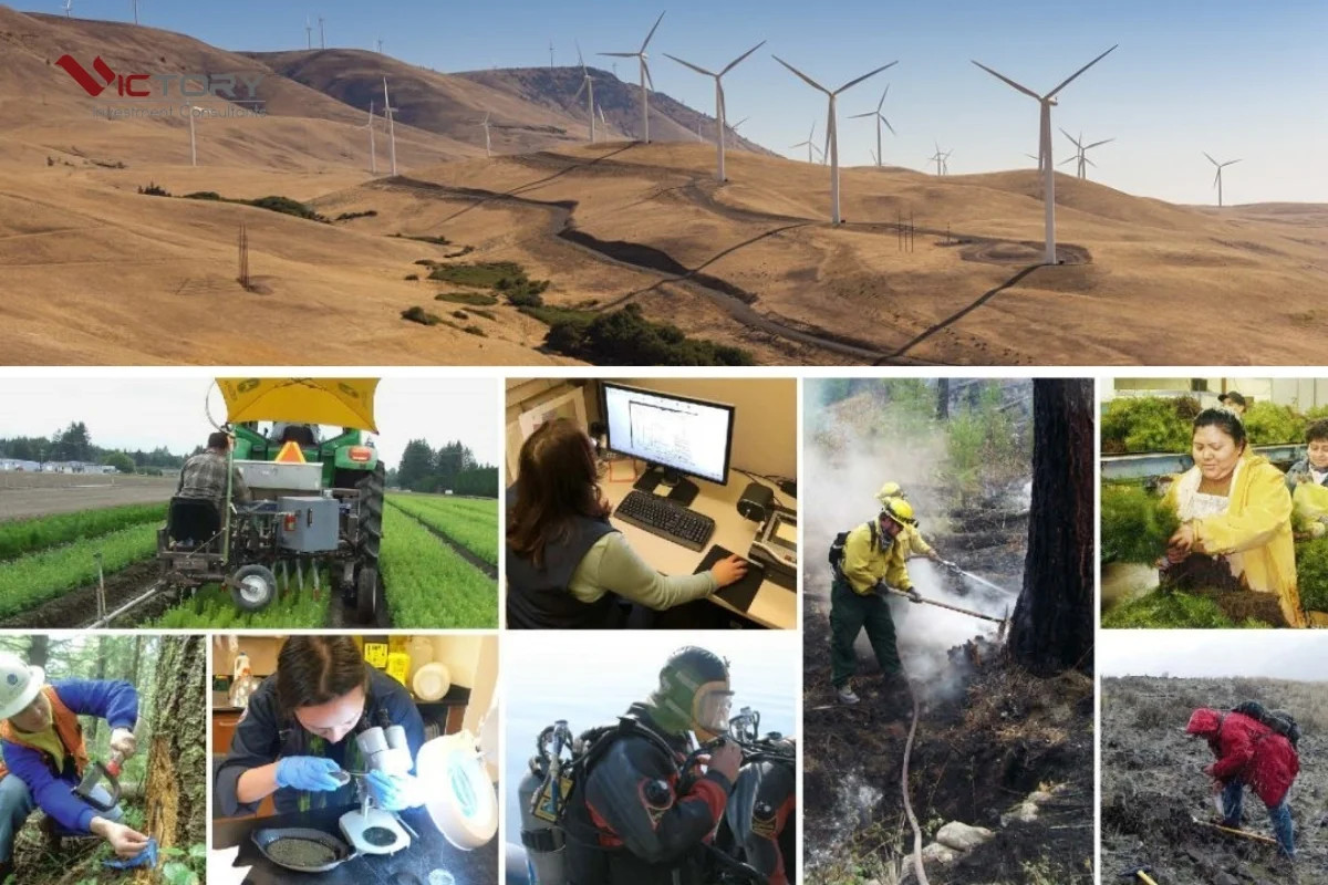 Kinh tế tại Washington Mỹ