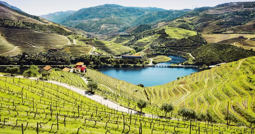 Lối sống xanh Bồ Đào Nha