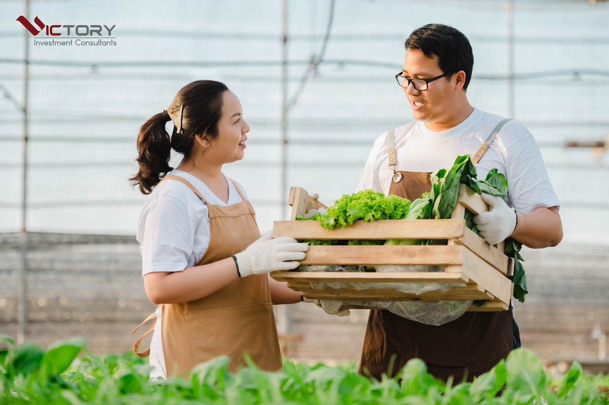 Người nông dân nam và nữ đang bê một thùng gỗ chứa đầy rau củ tươi