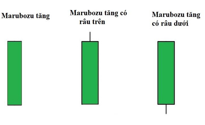 Phân loại các biến thể của nến Marubozu tăng giá (Bullish Marubozu)