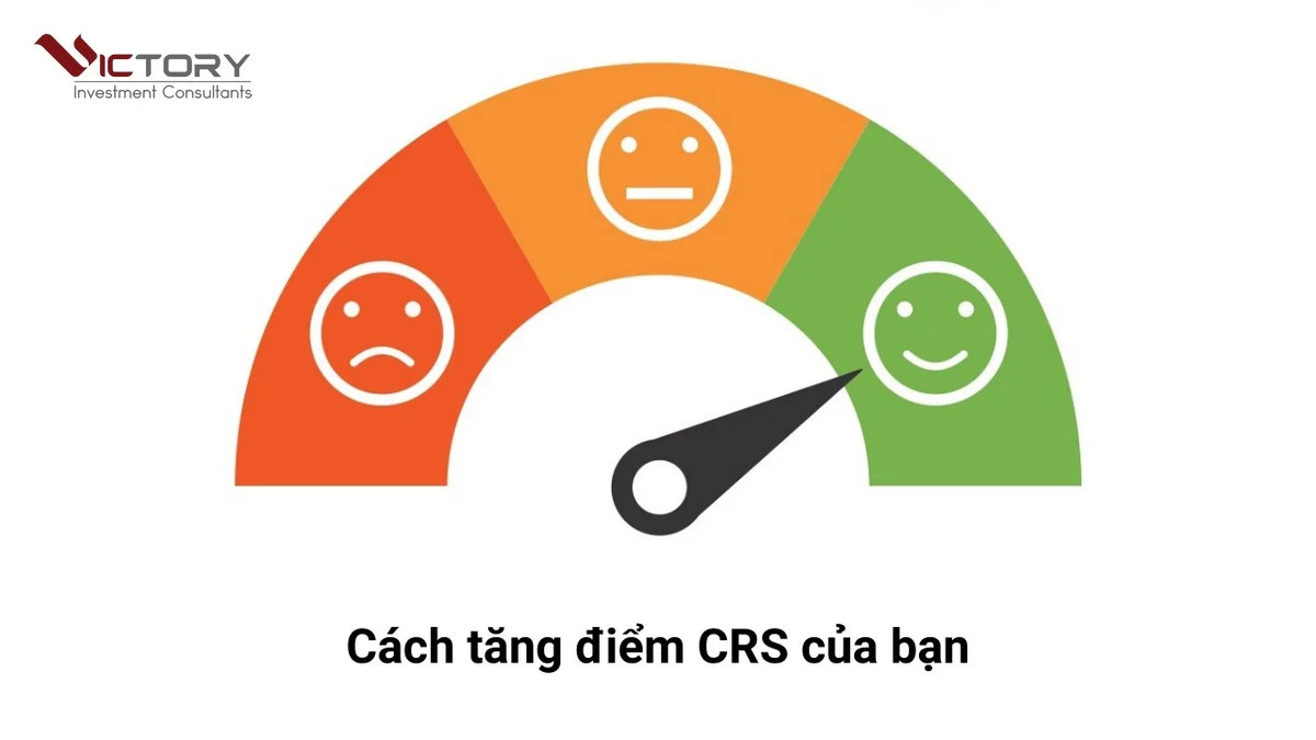 Thang điểm CRS chi tiết cho từng yếu tố định cư Canada