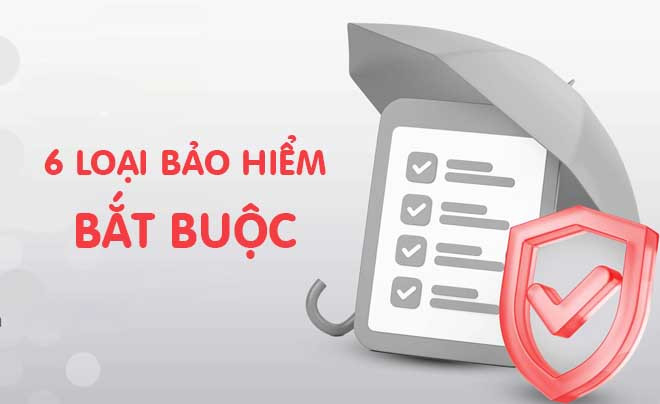 Tìm hiểu sâu về các loại bảo hiểm bắt buộc ở Việt Nam