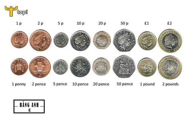 Bộ sưu tập các đồng tiền xu bảng Anh (pence và pound) với thiết kế độc đáo