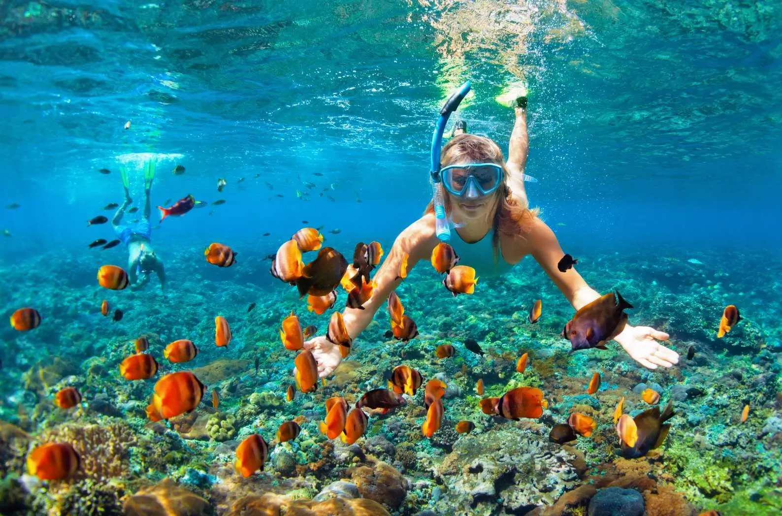 Các hoạt động thể thao dưới nước sôi động tại quần đảo Hawaii