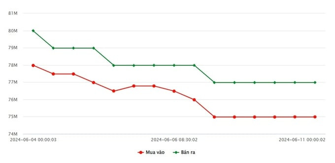 Cập nhật biểu đồ giá vàng SJC 9999 hôm nay ngày 11/6/24 tại thị trường Việt Nam