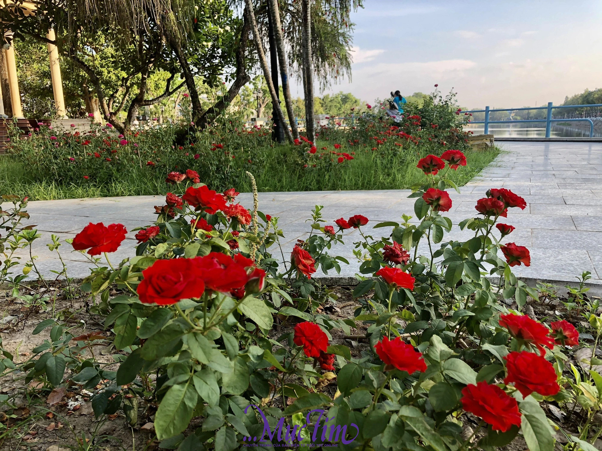 Du khách thư giãn thưởng thức trà sữa bên hồ nước Giếng Nước Mỹ Tho