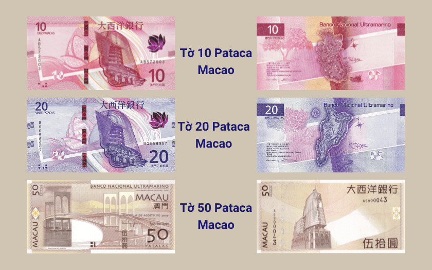 Mệnh giá tiền giấy Macao từ 10 đến 50 MOP