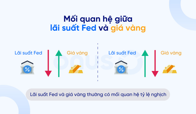 Mối quan hệ giữa chính sách lãi suất của Fed và biểu đồ giá vàng năm 2024