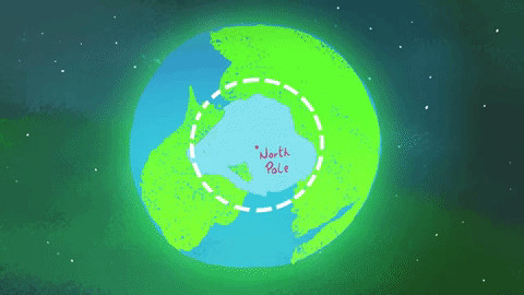 Antarctica là lục địa băng giá bao quanh bởi đại dương