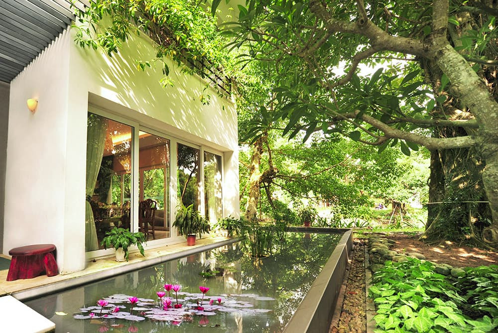 Biệt thự Ecopark ở đâu, hình ảnh