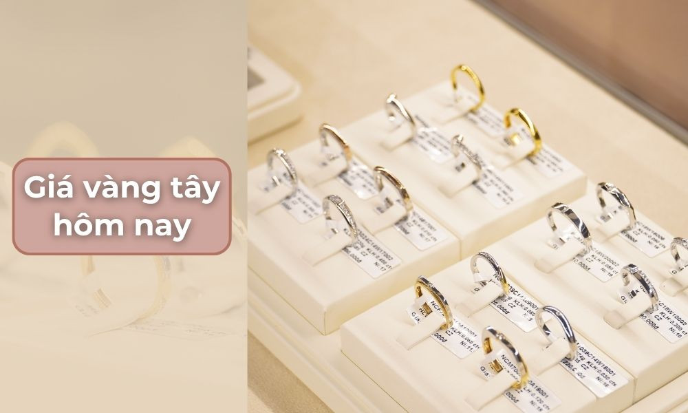 Biểu đồ chi tiết về giá vàng 9999 tại Việt Nam năm 2009, minh họa mức tăng kỷ lục.