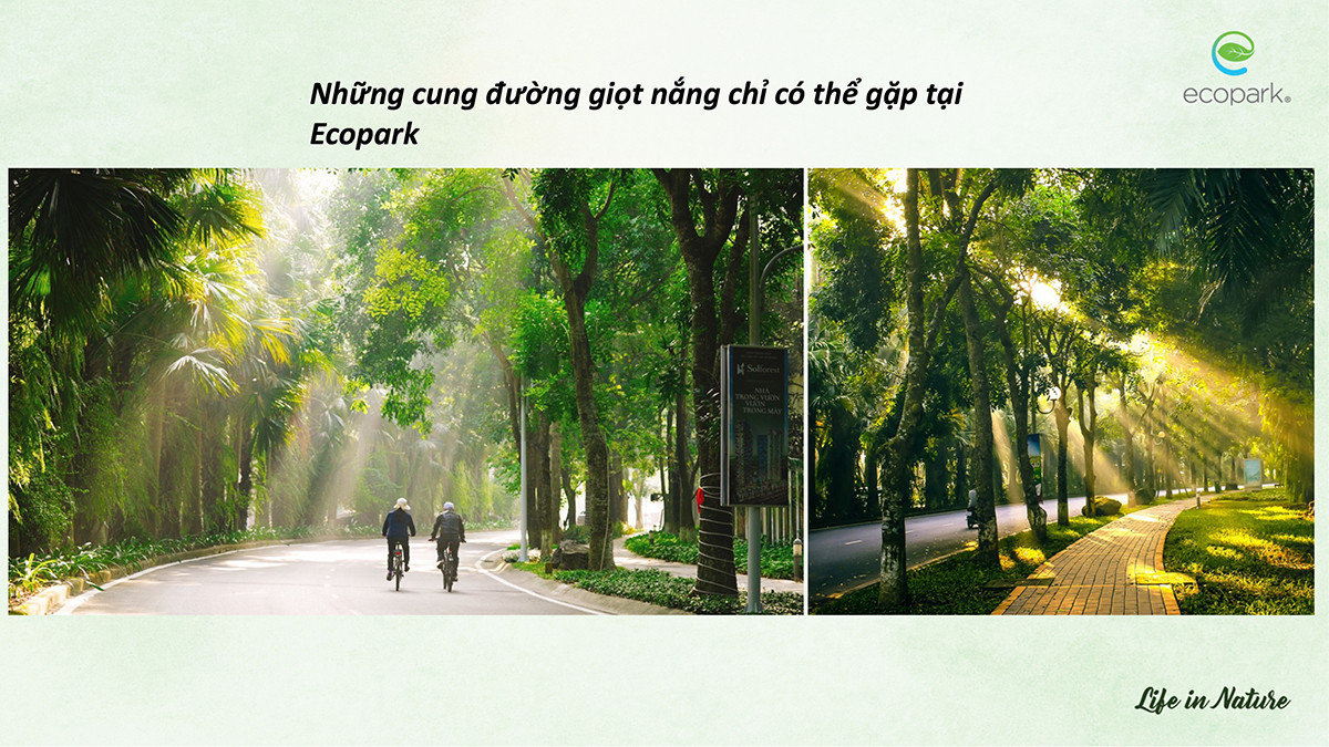 Con đường rợp bóng cây xanh và cảnh quan xanh mát tại Ecopark