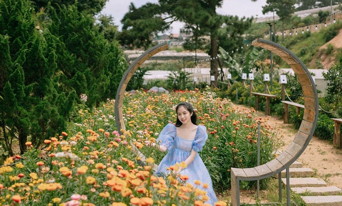 Du khách chụp ảnh tại vườn hoa rực rỡ của khu đô thị sinh thái Đan Phượng