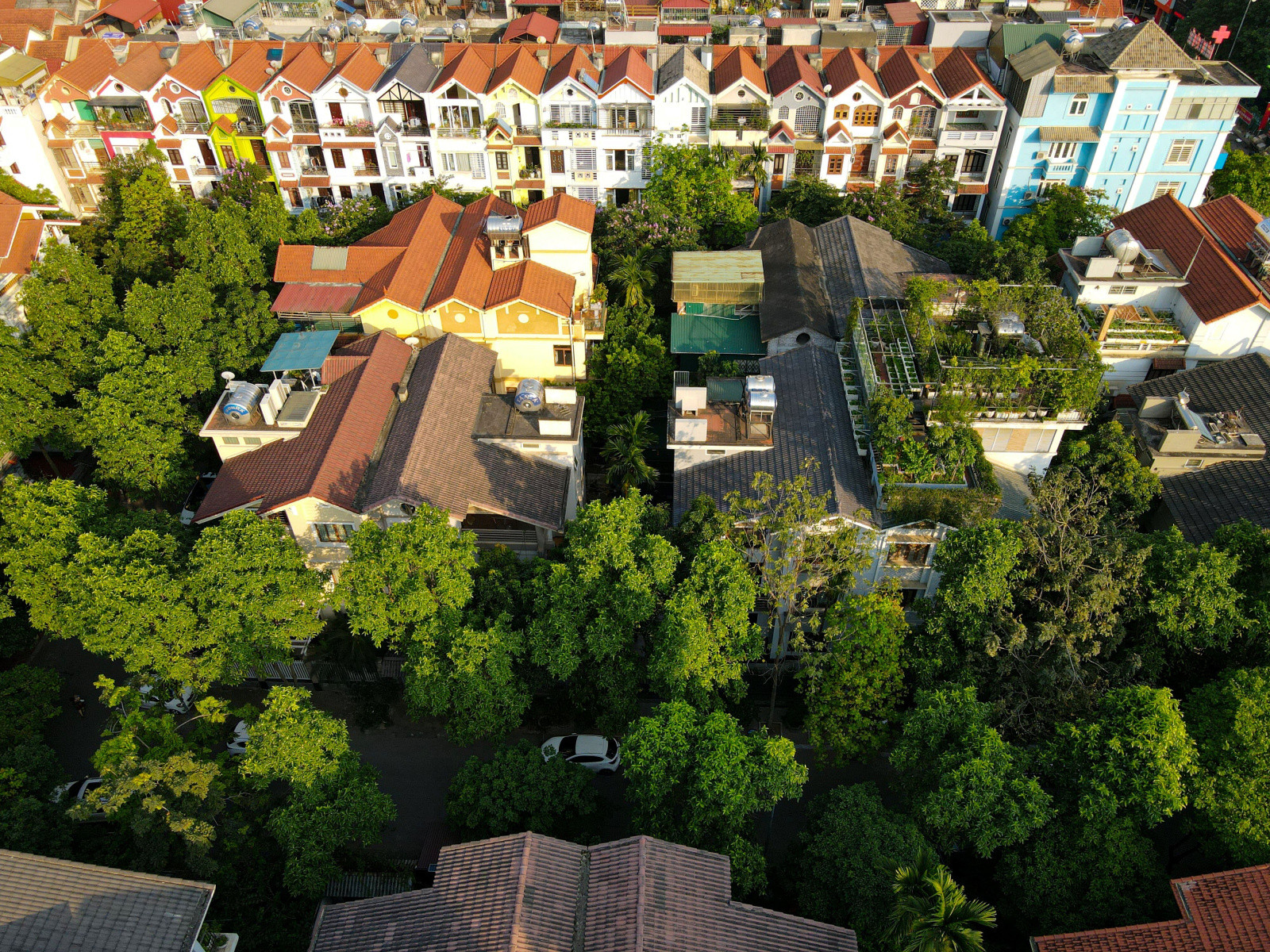 Khu vực cây xanh nội khu tươi mát tại khu đô thị Bắc Hà, với lối đi bộ và thảm cỏ