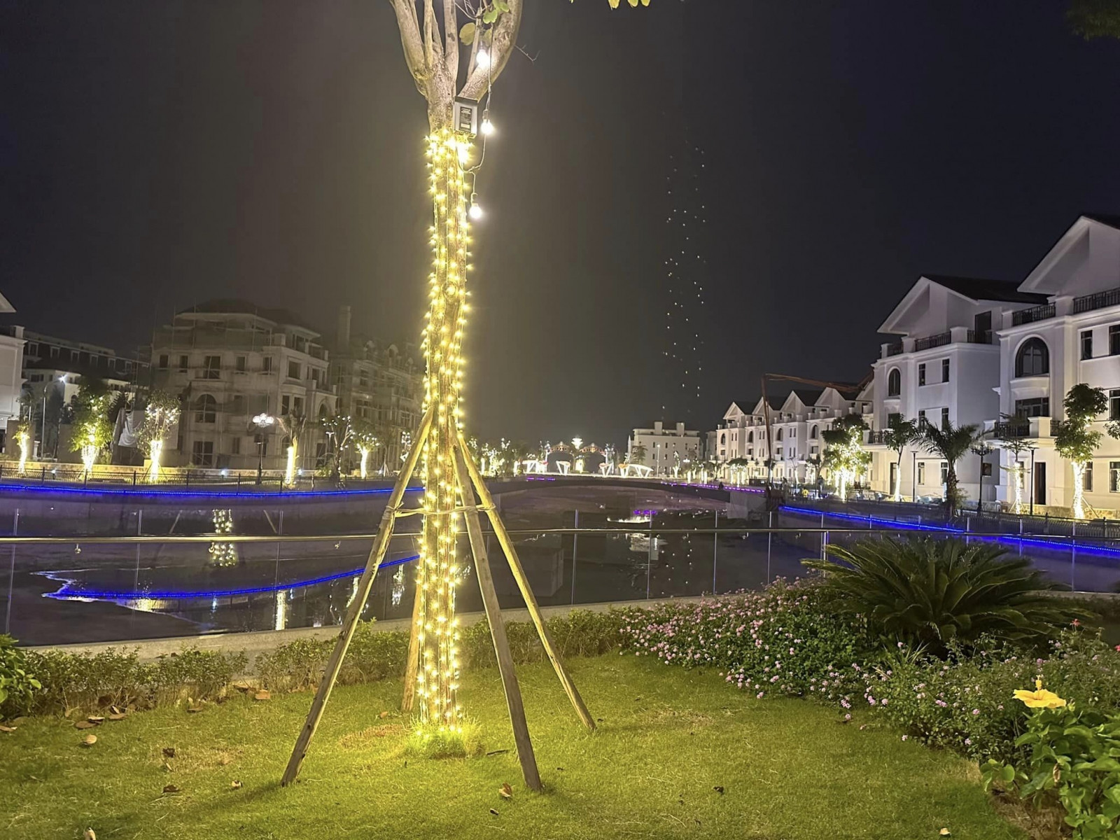 Khu vườn xanh mát bên trong khu đô thị Mạnh Đức