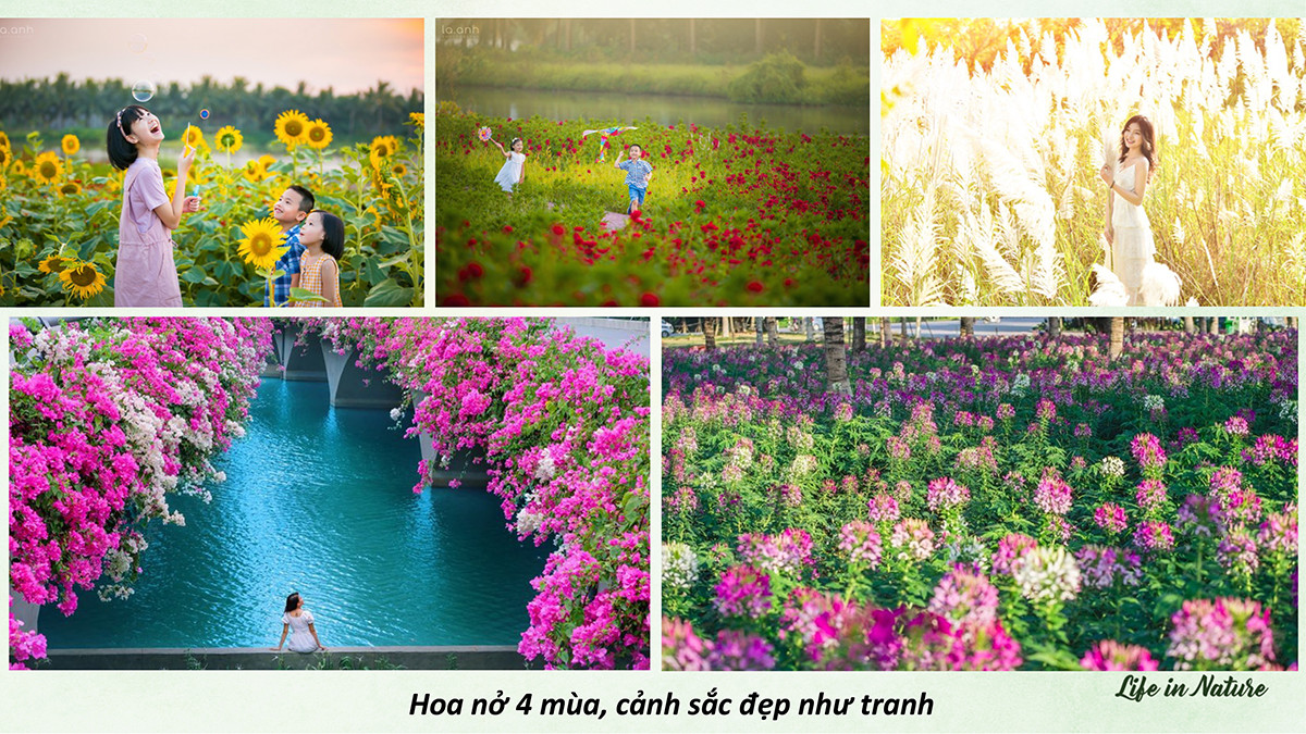 Khung cảnh thiên nhiên hữu tình với hồ nước và cây xanh tại Ecopark