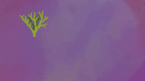 Trạm nghiên cứu khoa học tại vùng Antarctica