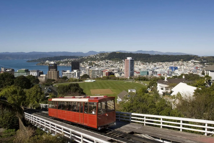 Wellington – khung cảnh thành phố thủ đô của New Zealand nhìn từ trên cao với bến cảng và những tòa nhà hiện đại