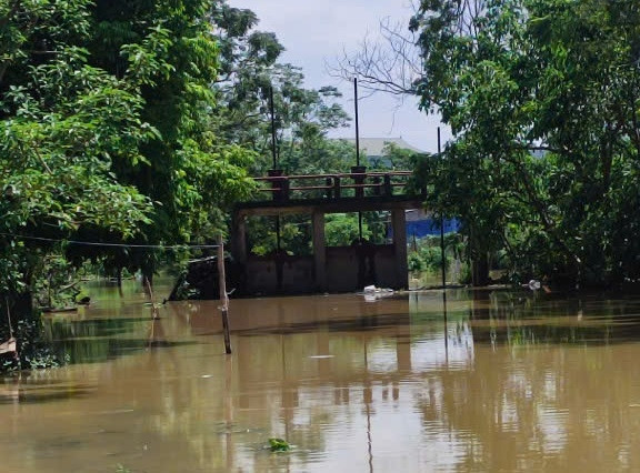 Cảnh ngập úng tại khu vực van điều tiết Kênh tiêu T1