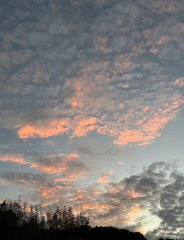 Bộ sưu tập 99+ ảnh bầu trời hoàng hôn buồn đầy cảm xúc