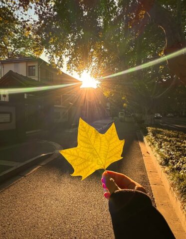 Bộ sưu tập 99+ ảnh bầu trời hoàng hôn buồn đầy cảm xúc