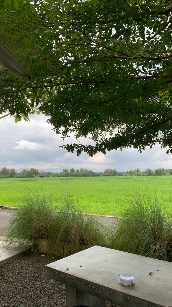 ảnh chill phong cảnh 23