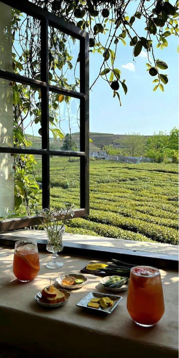 ảnh chill phong cảnh 24