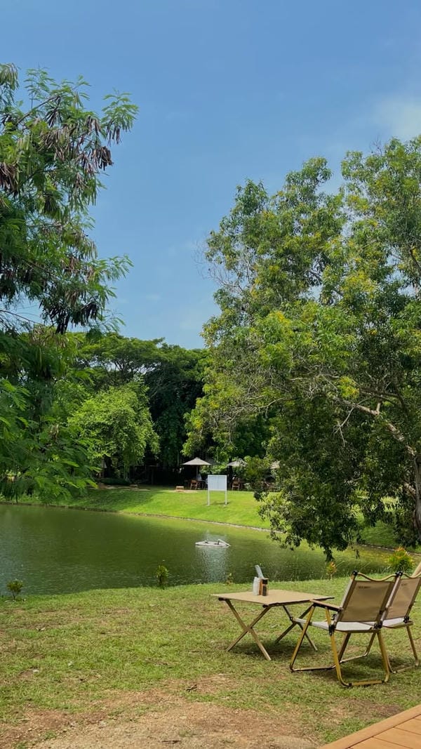 ảnh chill phong cảnh 28