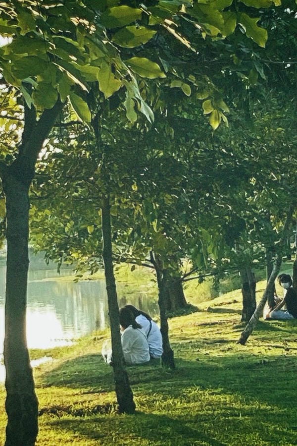 ảnh chill phong cảnh 8