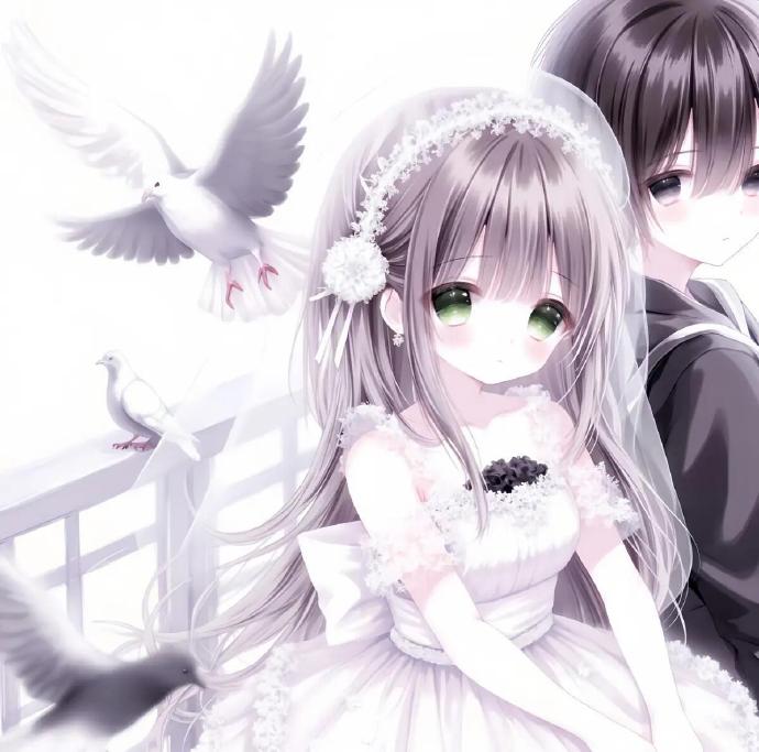 ảnh đôi anime cắt 15