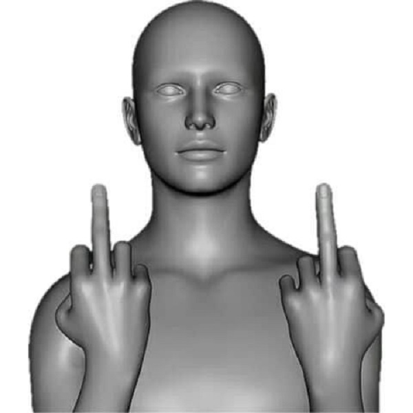 ảnh ngón giữa 2