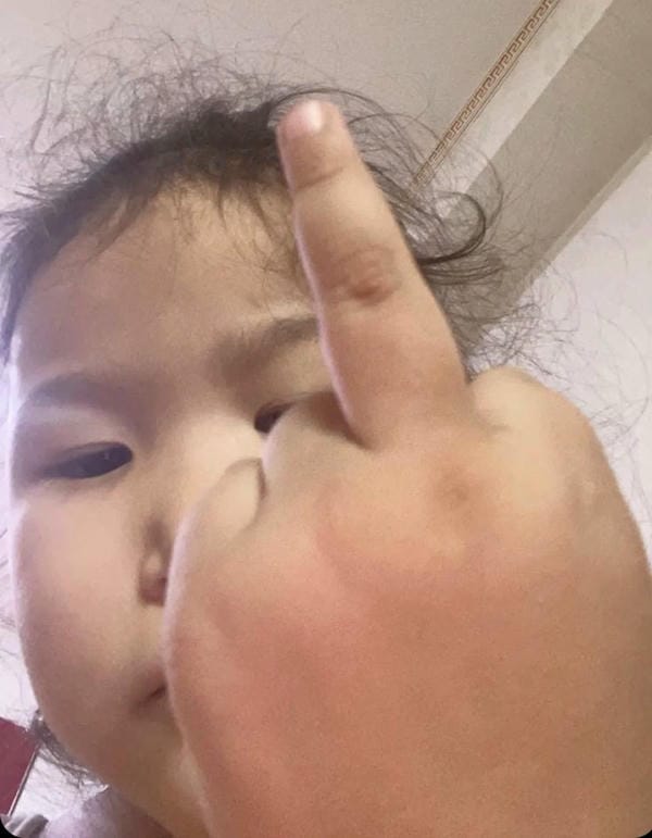 ảnh ngón giữa 24