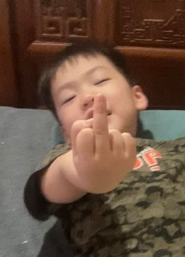 ảnh ngón giữa 29