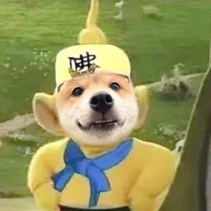 avatar đôi vô tri 20