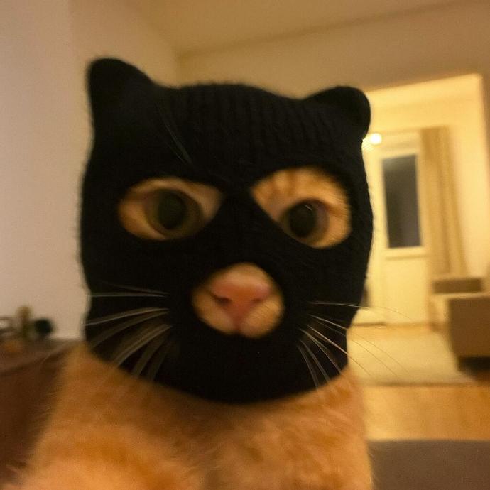 avatar đôi vô tri 27