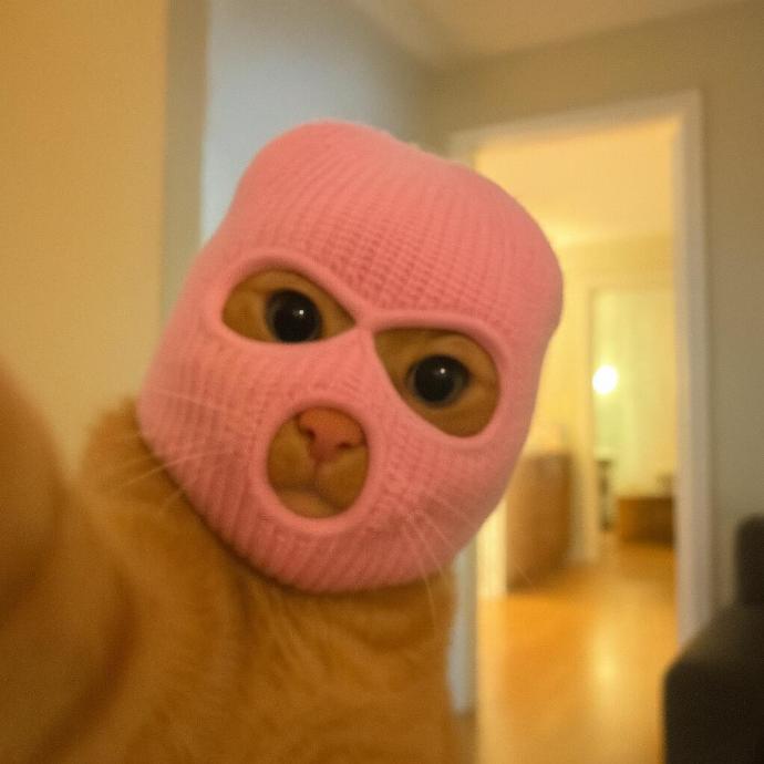 avatar đôi vô tri 28