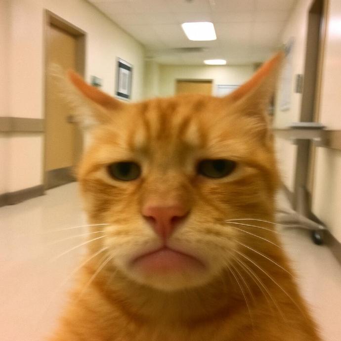 avatar đôi vô tri 3