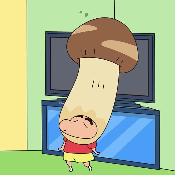 avatar shin vô tri 14