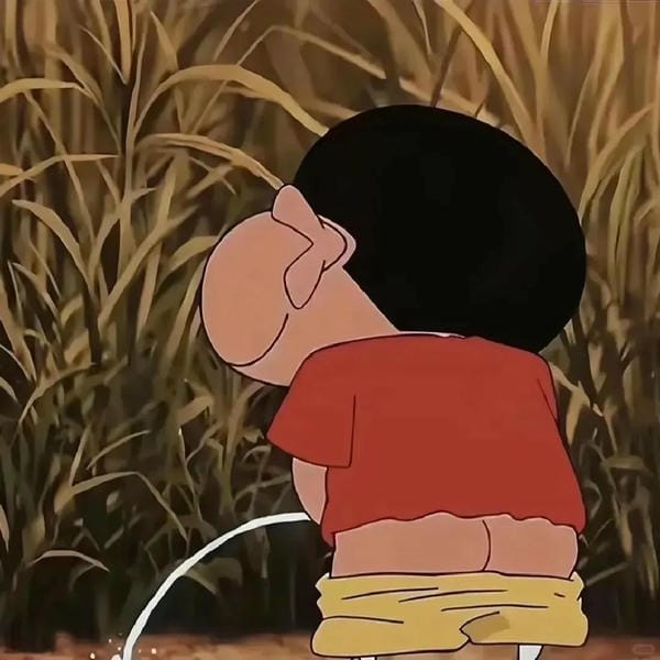 avatar shin vô tri 19